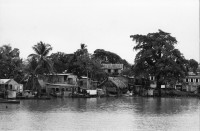 Image of sheet 19840500 photo 1: Majorettes treten für Daniel Ortega auf. Kindergruppe. Kirche von Bluefields. Esso Tankstelle. kleine Fischerboote im Hafen von B-. Palmen. Kinder vor Wandmalerei. Mascotta. kleines Mädchen als Kindersoldat verkleidet. S.M.P. Servicio Militar Patriotico. Tafel des P.L.I. in Managua. Partido Liberal Independiente. Atlantikküste RAAS 1984