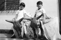Image of sheet 19840510 photo 28: Kinder tanzen den traditionellen Tanz mit Kuhköpfen, Nicaragua 1984.
