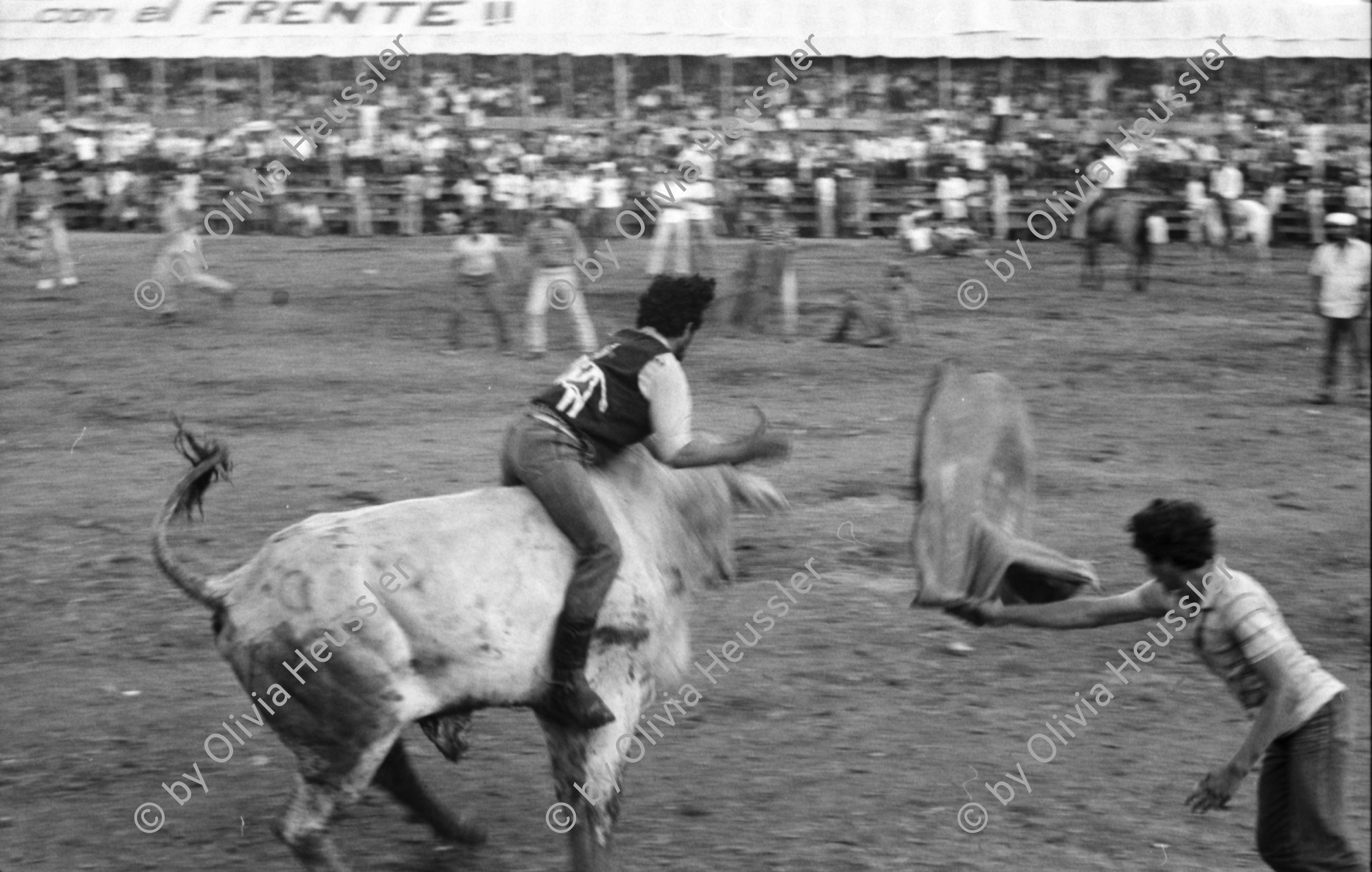 Image of sheet 19840520 photo 15: Für Ortega kämpfen sich junge Burschen auf lahmen Kühen durch die Corrida. Einige stürzen. Die Männer rennen wild im Gehege umher.Daniel Ortega ist auch Anlaufstelle für kleine Bemerkungen in der Bevölkerung. Männer und Alkohol. Sie trinken Bier. cerveza Nicaragua 1984 America central wahlen election