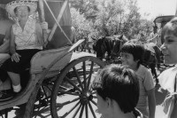 Image of sheet 19840610 photo 34: Eine US-amerikanische Gewerkschafterin demonstriert ihre Solidarität aus einer Pferdekutsche mit den sandinistischen Organisationen UNAG und FSLN
Managua Nicaragua 1984 √ horse coach woman solidarity us america central kids child boys hut sun