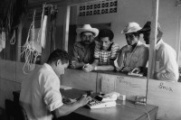 Image of sheet 19840620 photo 30: Das Landwirtschaftsministerium unterhält den Verkauf an Werkzeugen in einem Laden für die Bauern in der Región Autónoma del Atlántico Sur Nicaragua. 1984 √