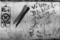Image of sheet 19840630 photo 13: Wahlen Nicaragua 1984