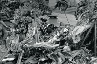 Image of sheet 19840650 photo 29: Das Grab des sandinistischen Kommandanten der FSLN Cmdte. Enrique Schmidt auf dem Friedhof ist zerstört. Die Kränze liegen chaotische herum, im Cementerio General.  Managua. Nicaragua 1984 √ grave death cementery  combatant minister Telcor war murdered flowers central america rebels 
En la tumba de Enrique Schmidt. Cementerio Central, Managua, 1984

Out of: Der Traum von Solentiname  /  The dream of Solentiname  /  El sueño de Solentiname page  Nr: 83