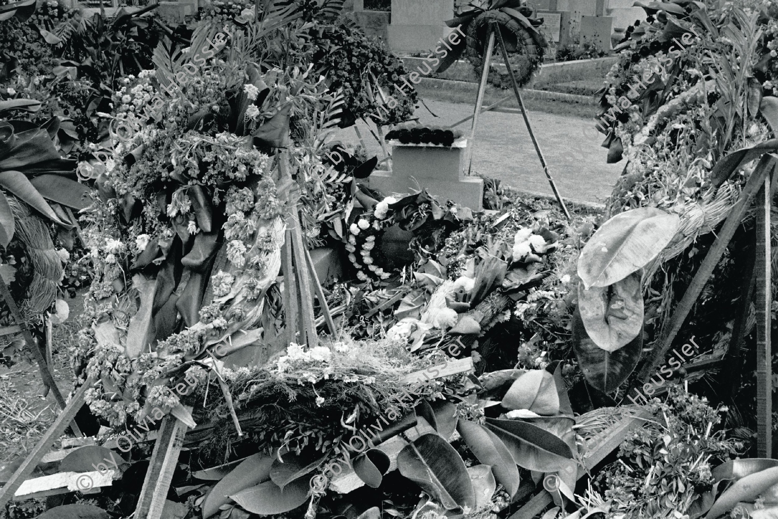 Image of sheet 19840650 photo 29: Das Grab des sandinistischen Kommandanten der FSLN Cmdte. Enrique Schmidt auf dem Friedhof ist zerstört. Die Kränze liegen chaotische herum, im Cementerio General.  Managua. Nicaragua 1984 √ grave death cementery  combatant minister Telcor war murdered flowers central america rebels 
En la tumba de Enrique Schmidt. Cementerio Central, Managua, 1984

Out of: Der Traum von Solentiname  /  The dream of Solentiname  /  El sueño de Solentiname page  Nr: 83