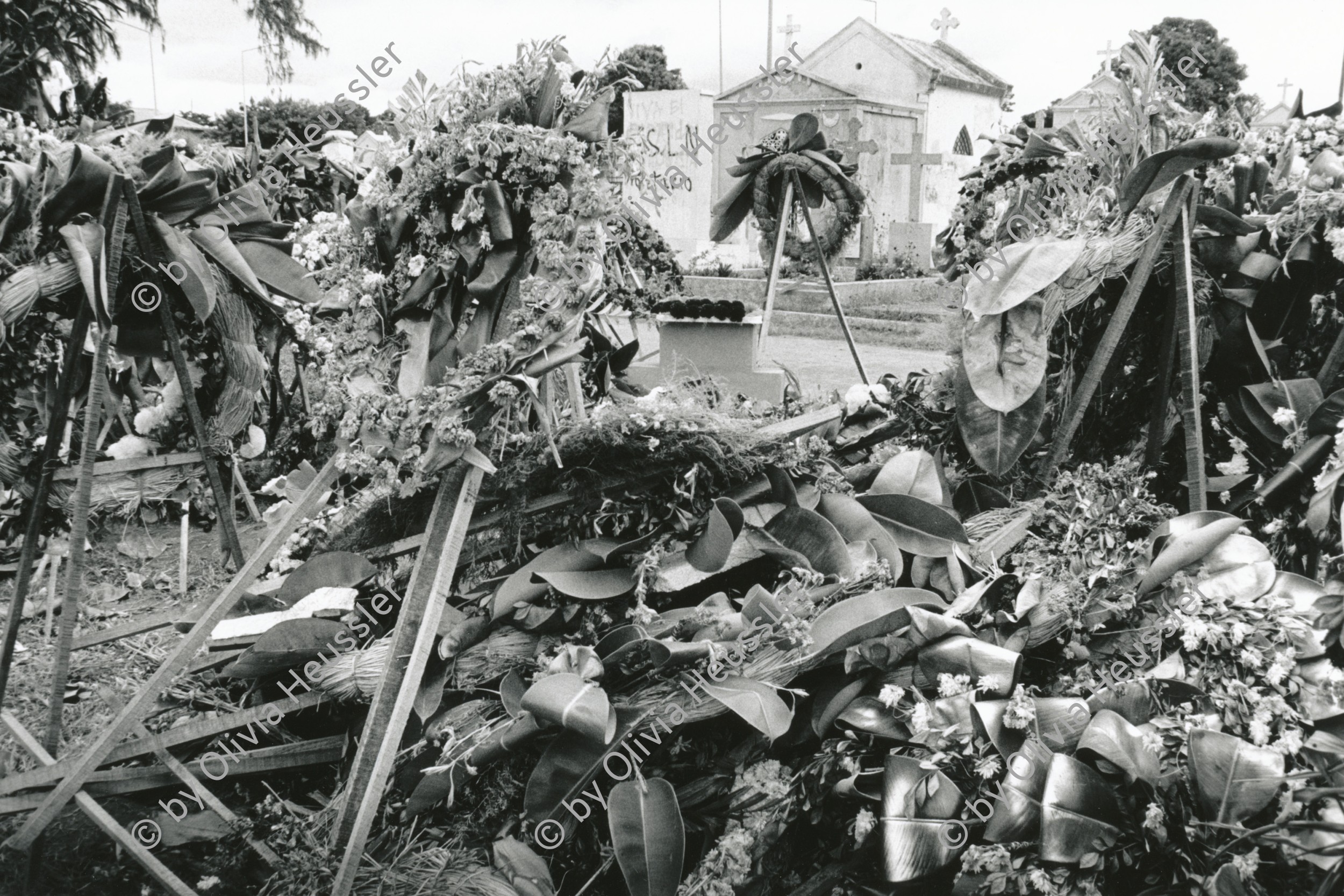 Image of sheet 19840650 photo 31: Das Grab von Kommandant Enrique Schmidt ist nach kurzer Zeit durcheinander geraten. Schmidt war vor seinem Tod Post minister und wurde von den Contras Contra rebellen umgebracht. Nicaragua 11.84 1984 √
Managua. grave death cementery combatant minister Telcor war murdered flowers central america rebels
© 1984, OLIVIA HEUSSLER / www.clic.li


En la tumba de Enrique Schmidt. Cementerio Central, Managua, 1984
At Enrique Schmidt’s grave. Main cemetery, Managua, 1984