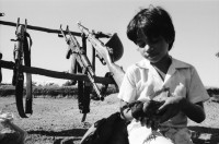 Image of sheet 19840660 photo 2: russische sovietische Tanks Panzer EPS stehen um Managua herum. Invasionsangst Kind mit Taube steht vor Panzer. Gewehre gegen den Himmel gerichtet. Panzer ist mit Pflanzen getarnt. Mann fotografiert sein Kollege auf Panzer stehend. Mann fotografiert. Managua Nicaragua 1984