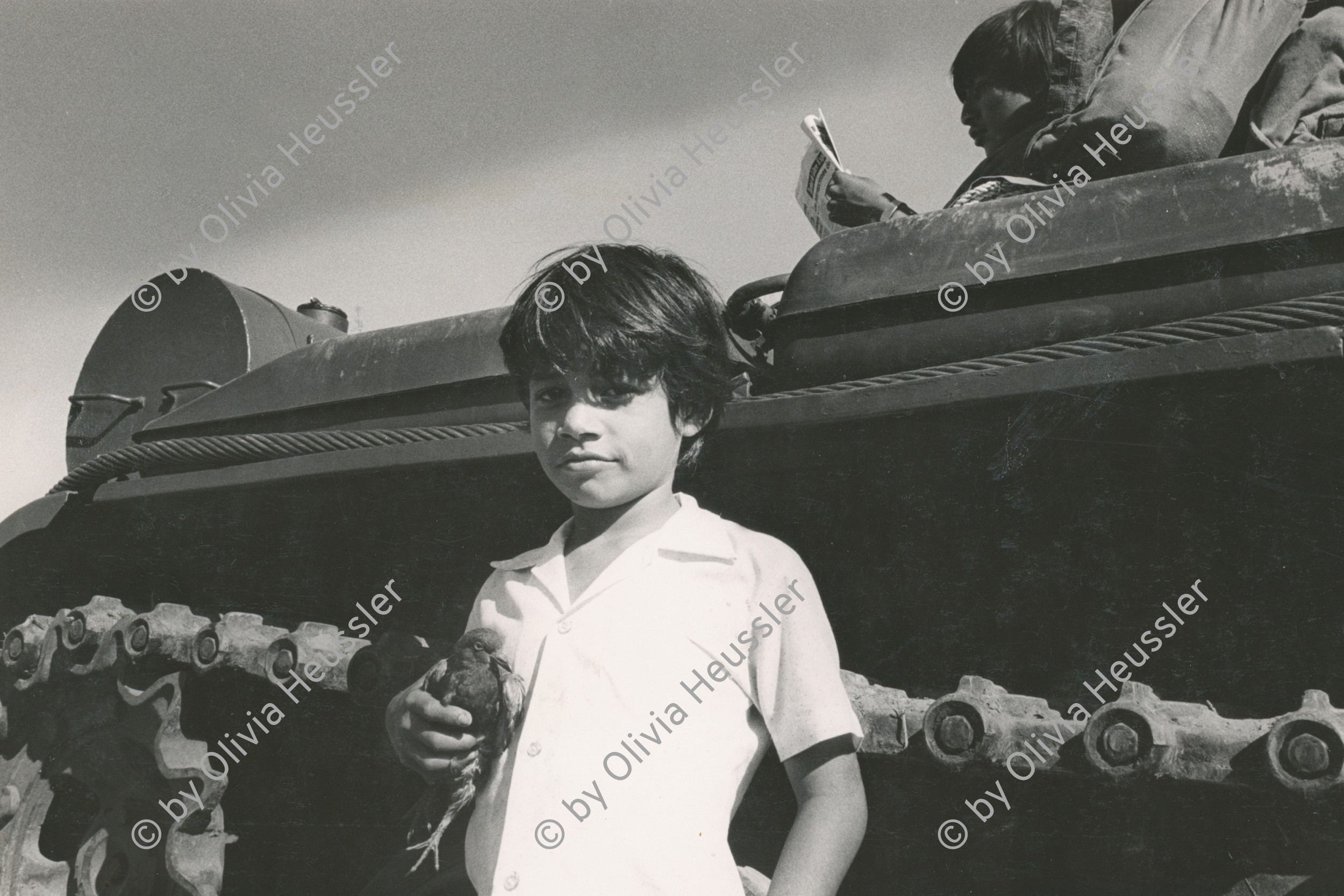 Image of sheet 19840660 photo 44: Ein Junge steht mit einer Taube in der Hand vor einem russischen Panzerwagen. Managua wappnet sich gegen eine US- Invasion. Nicaragua 21.11.84
1984
Boy with pigeon in hand in front of a soviet - tank of the EPS  'Ejercito popular Sandinista'. √ child youth animal bird kid