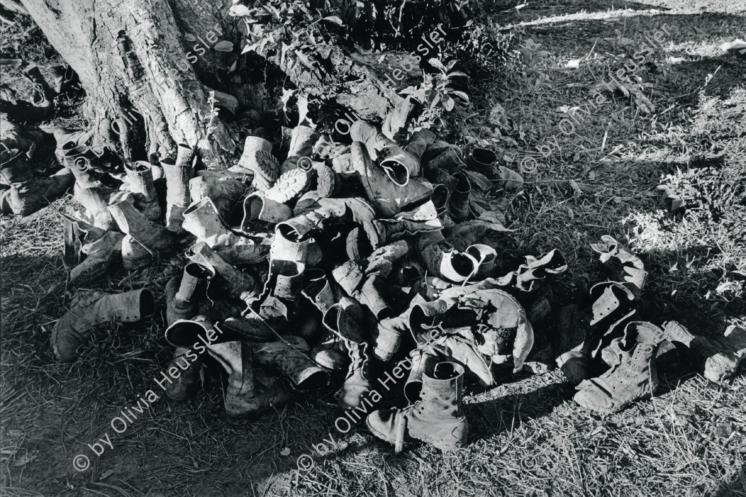 Image of sheet 19840690 photo 19: Von der sandinistischen Armee zurückgelassenes Schuhwerk, San José de Bocay Nicaragua 1984, Out of: «The dream of Solentiname».


Humanrights Menschenrechte human rights shoes troops 
San José de Bocay, Dpto. de Jinotega, 1984
Out of: Der Traum von Solentiname  /  The dream of Solentiname  /  El sueño de Solentiname page  Nr: 84

Out of: From time to time  / Von Zeit zu Zeit

The Sandinista Popular Army (or People's Army; Ejército Popular Sandinista, EPS) was the military established in 1979 by the new Sandinista government to replace the National Guard, following the overthow of Anastasio Somoza Debayle.

gerahmt framed passepartout 37 x 52 cm

© 1984, olivia heussler /www.clic.li

 Exhibition
Im Bestand der Fotostiftung Schweiz 24 x 30 cm RC Vintage 24 x 30 cm 1987.005
B.0226