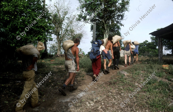 Image of sheet 19843000 photo 2: Junge Menschen aus der Schweiz arbeiten in Arbeitsbrigaden. Nicaragua, Zentralamerika.


Menschen; Arbeit; Solidaritaet; Nicaragua; Brigadisten; Brigaden