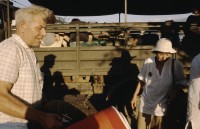 Image of sheet 19843000 photo 31: Junge Menschen aus der Schweiz arbeiten in Arbeitsbrigaden. Nicaragua, Zentralamerika.

19843000 03
Menschen; Arbeit; Solidaritaet; Nicaragua; Brigadisten; Brigaden
1984

{