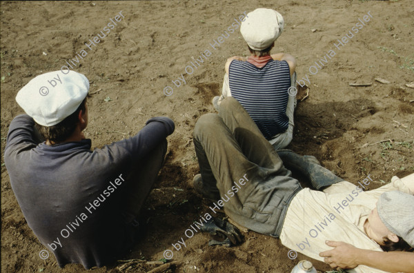 Image of sheet 19843000 photo 71: Menschen; Arbeit; Solidaritaet; Nicaragua; Brigadisten; Brigaden