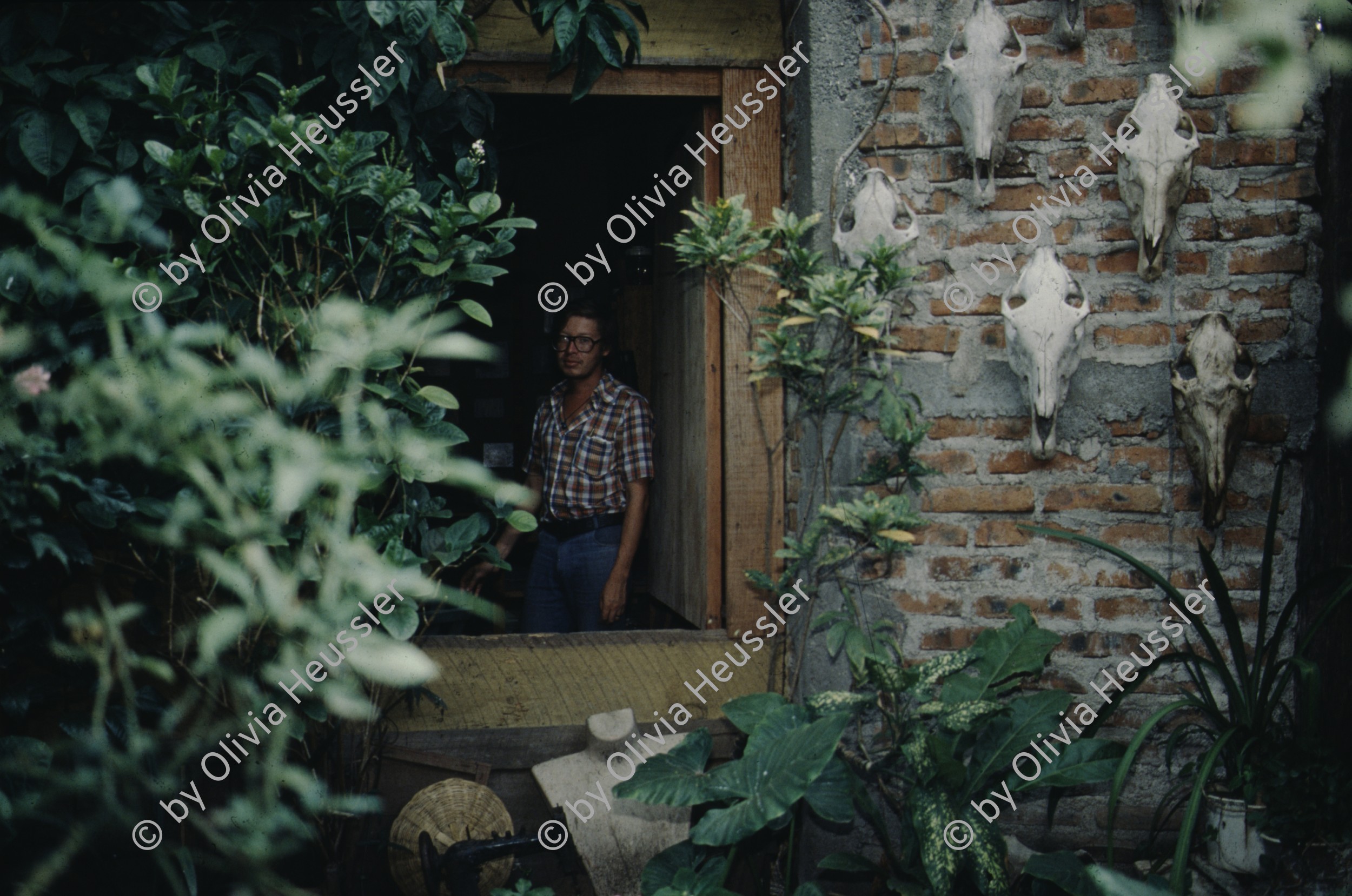 Image of sheet 19843000 photo 76: Junge Menschen aus der Schweiz arbeiten in Arbeitsbrigaden. Nicaragua, Zentralamerika.


Menschen; Arbeit; Solidaritaet; Nicaragua; Brigadisten; Brigaden