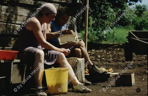 Image of sheet 19843000 photo 78: Junge Menschen aus der Schweiz arbeiten in Arbeitsbrigaden. Nicaragua, Zentralamerika.


Menschen; Arbeit; Solidaritaet; Nicaragua; Brigadisten; Brigaden