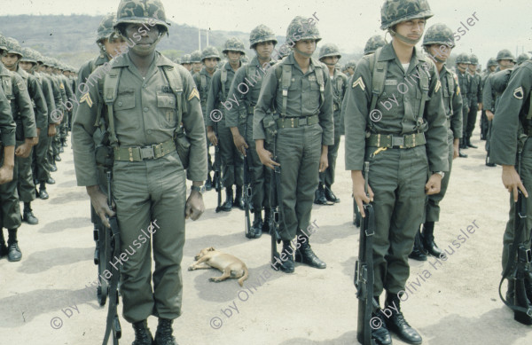 Image of sheet 19843003 photo 10: Ranghohe Offiziere der honduranischen Streitkraefte an einer Parade in Tegucigalpa, Las Tapias, Honduras am 16. April 1984, Zentralamerika.

19843003 1984
Militaer; Personal; Generaele; Honduras; Parade; Verantwortliche; Folter; Las Tapias; Orden; Sonnenbrille; Streitkraefte; Offiziere; ranghohe