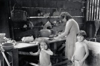 Image of sheet 19850010 photo 0: M