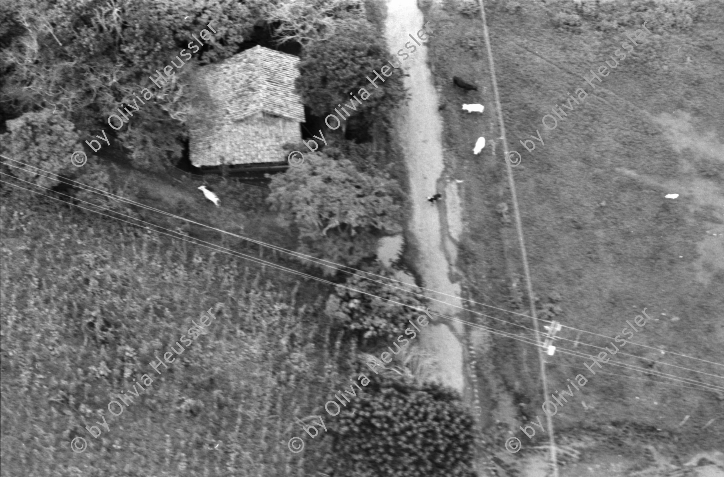 Image of sheet 19850010 photo 10: Mutter mit Kinder arbeitet in der Küche. Mann steht in Küche. Frauen arbeiten in Bäckerei. Funkerin in sovietischem soviet Militärjeep.
Leo Gabriel und Georg Hodel geben in Zürich eine Pressekonferenz. Im Zusammenhang mit dem Schweizerischen Export der P-7, Pilatusporter, die in Guatemala als Bomber gegen die Zivilbevölkerung eingesetzt wird. Ymma Ex Frau von Res Strehle, übersetzt. Nicaragua Central America 1985