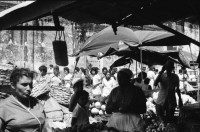 Image of sheet 19850020 photo 11: In den Strassen von Leon mischen sich die verschiedenen Transportmittel.  Handkarren
Nicaragua 1985 √
