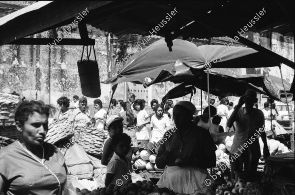 Image of sheet 19850020 photo 11: In den Strassen von Leon mischen sich die verschiedenen Transportmittel.  Handkarren
Nicaragua 1985 √