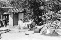 Image of sheet 19850020 photo 14: I
