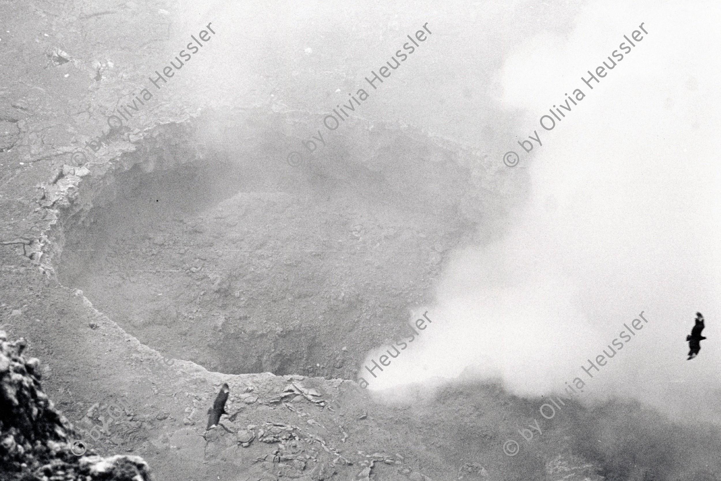 Image of sheet 19850020 photo 33: A