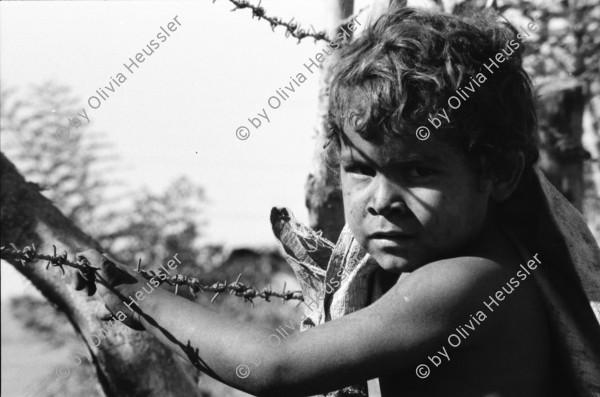 Image of sheet 19850030 photo 3: Kinderwagen selbstgemacht. Baumwolle. Mitglieder einer Baumwollkooperative in Chinandega. Arbeiterinnen. Portrait. Junge transportiert trockene Maispflanzen auf Kopf. Machette. Vulkan Ochsenwagen. Vater mit seinen zwei Kindern. Mädchen auf selbstgemachtem Trottinett und Wäsche. Frauen gruppe geht auf Bauwollfeld zur Ernte. gruppenbild Baumwollernte. Mann mit Hut und Vulkan. Mädchen erntet. Chinandega Nicaragua 1985