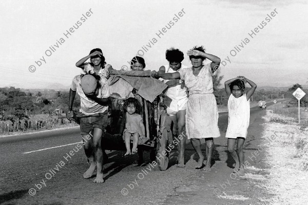 Image of sheet 19850040 photo 16: Frauen transportieren mit ihren Kindern auf einer Holzkarre Wasser auf der Strasse. Chinandega, Nicaragua, 1985 √ Transport work water women children girls Haushalt domestic 
Wassertransport auf der Strasse, 185 Kilometer nördlich von Managua. Dep. Chinandega, 1985

Aus: «Der Traum von Solentiname» EPF, Zürich 
«El Sueño de Solentiname» IHNCA Managua p.63
Im Bestand der Fotostiftung Schweiz 24 x 30 cm RC Vintage 1987.009 B.0226