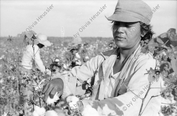 Image of sheet 19850040 photo 30: Landstrasse. Chinandega Nicaragua 1985