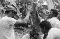 Image of sheet 19850051 photo 6: In der Kooperative San Carlos arbeiten viele Frauen. Sie waschen die Bananen und kontrollieren die Stauden. Die Männer ziehen die grossen Stauden durch die Felder bis in die Halle. Nicaragua Centralamerica Banana Production 1985