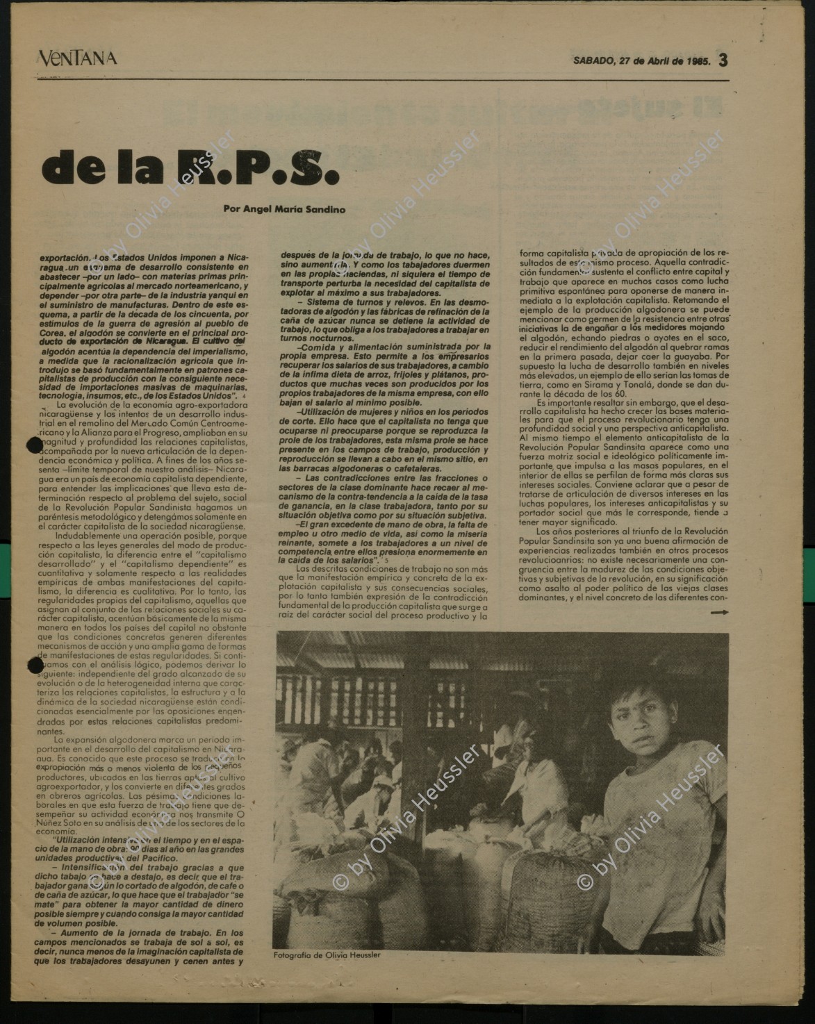 Image of sheet 19850060 photo 11: Kaffeeernte mit der Brigade von Inies und IRENA in der UPE empresas agropecuarias estatales, La Pintada. mit Lorenzo Cardenal spielt Gitarre Musik Music Sandinista Sandinist Nicaragua 1985 coffee pick harvest farm farmer Cooperative kooperative