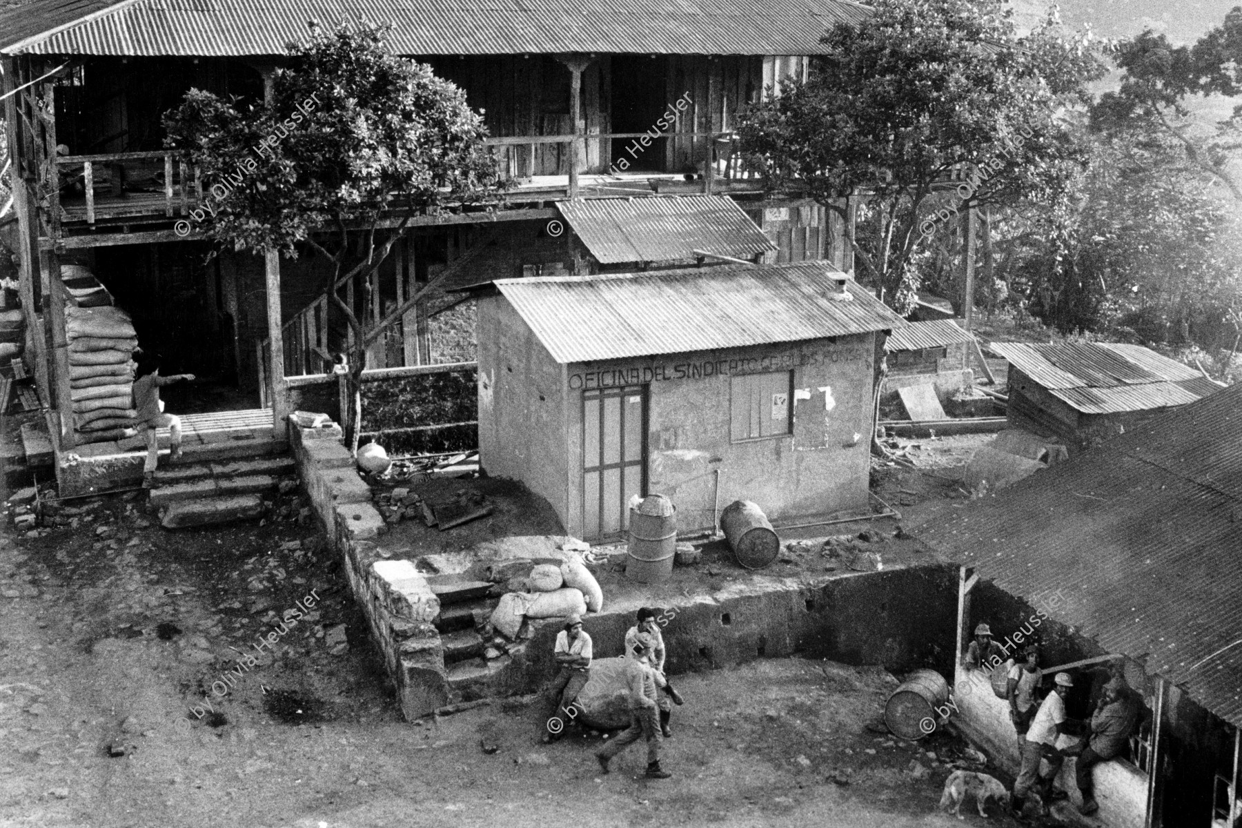 Image of sheet 19850060 photo 13: Das Wohnhaus und das Büro der Gewerkschaft der Kaffee plantagen Arbeiter. Matagalpa Nicaragua 02.85 central america home house farm coffee plantage harvest picker farmer worker men center  1985 √ © olivia heussler office union