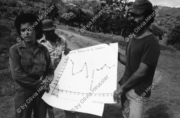 Image of sheet 19850060 photo 2: Kaffeeernte mit der Brigade von Inies und IRENA in der UPE empresas agropecuarias estatales, La Pintada. mit Lorenzo Cardenal spielt Gitarre Musik Music Sandinista Sandinist Nicaragua 1985 coffee pick harvest farm farmer Cooperative kooperative