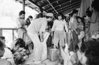 Image of sheet 19850060 photo 26: Kaffeeernte mit der Brigade von Inies und IRENA in der UPE empresas agropecuarias estatales, La Pintada. mit Lorenzo Cardenal spielt Gitarre Musik Music Sandinista Sandinist Nicaragua 1985 coffee pick harvest farm farmer Cooperative kooperative