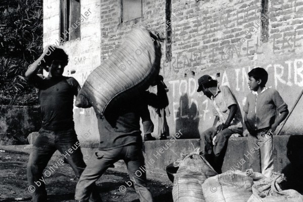 Image of sheet 19850060 photo 27: Männer schultern Säcke während Kaffee-ernte, UPE (empresas agropecuarias estatales), la Pintada Nicaragua 1985.
Männer transportieren abgesackten Kaffee. Kaffee ernte Transport Matagalpa  UPE empresas agropecuarias estatales, la Pintada Nicaragua 02.85 1985 √ coffee harvest work worker bag boy men man