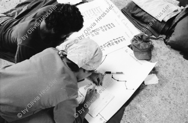 Image of sheet 19850060 photo 43: Kaffeeernte mit der Brigade von Inies und IRENA in der UPE empresas agropecuarias estatales, La Pintada. mit Lorenzo Cardenal spielt Gitarre Musik Music Sandinista Sandinist Nicaragua 1985 coffee pick harvest farm farmer Cooperative kooperative