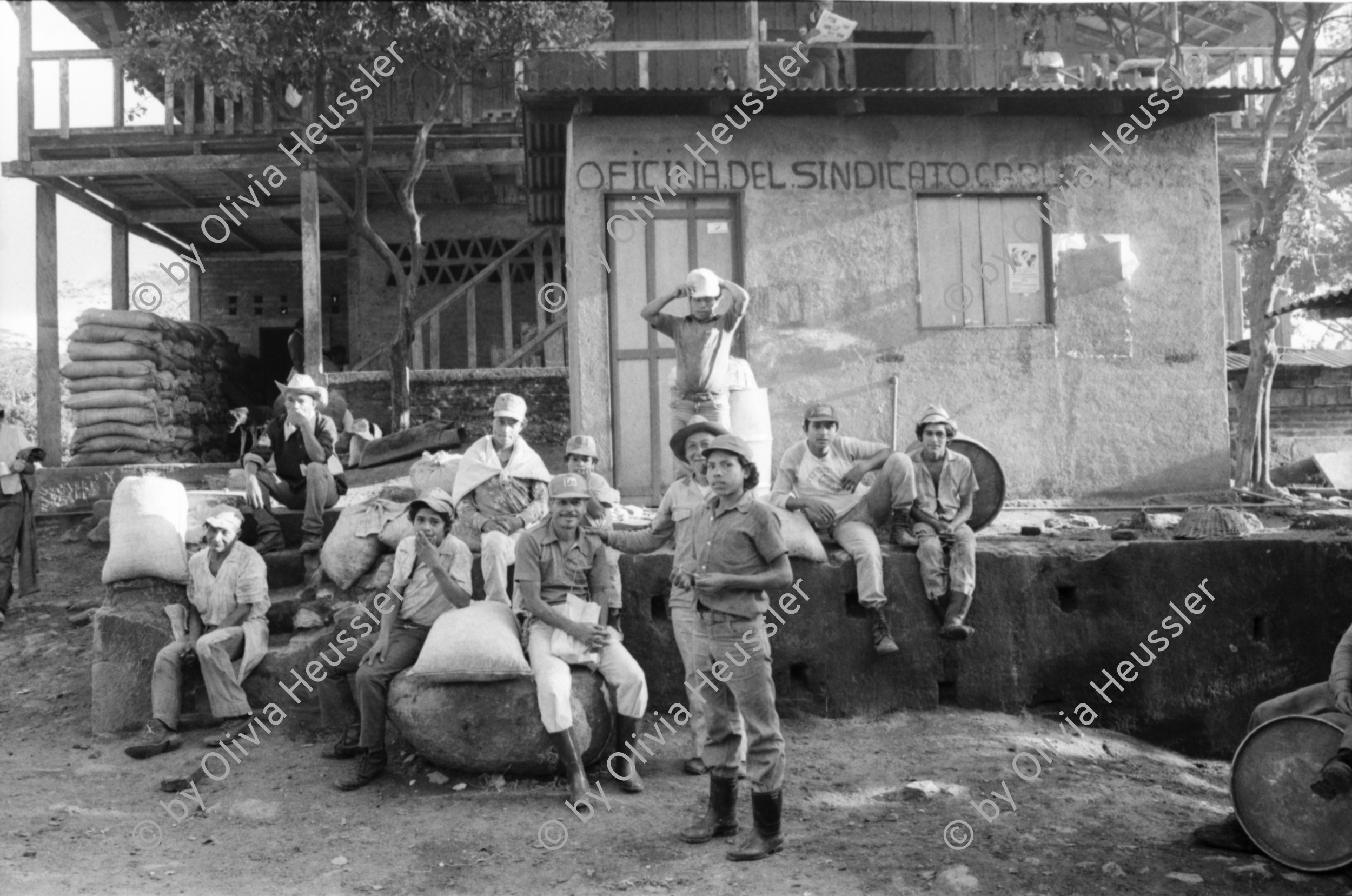 Image of sheet 19850060 photo 7: Kaffeeernte mit der Brigade von Inies und IRENA in der UPE empresas agropecuarias estatales, La Pintada. mit Lorenzo Cardenal spielt Gitarre Musik Music Sandinista Sandinist Nicaragua 1985 coffee pick harvest farm farmer Cooperative kooperative