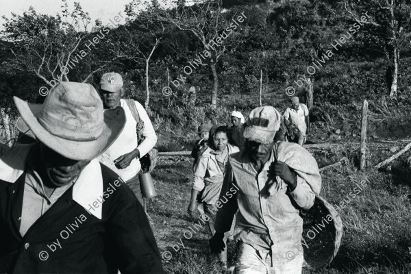 Image of sheet 19850080 photo 12: Kaffeepflückerinnen und -pflücker der Kooperative «La Pintada» auf dem Weg zur Arbeit. Dep. Matagalpa, 1985

coffee farmer worker harvest pickers on their way to work at the la Pintada Cooperative. 
Out of: The dream of Solentiname / El sueño de Solentiname page 60

Im Bestand der Fotostiftung Schweiz 24 x 30 cm RC Vintage 1987.011 B.0226
19850080_12