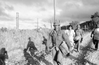 Image of sheet 19850080 photo 17: Morgens um sechs geht es auf zum Pflücken. Die Brigade von INIES  und IRENA (Umweltministerium) geht zusammen mit den lokalen Pflückern. Der Kontrolleur bläst zum Abbruch. Die kleineren helfen vorallem mit beim sortieren der Qualität. Paul Rice (Senior CEO Transfair USA) Die Brigadisten kommen von überall her. Internationale Brigade. Nicaragua 1985