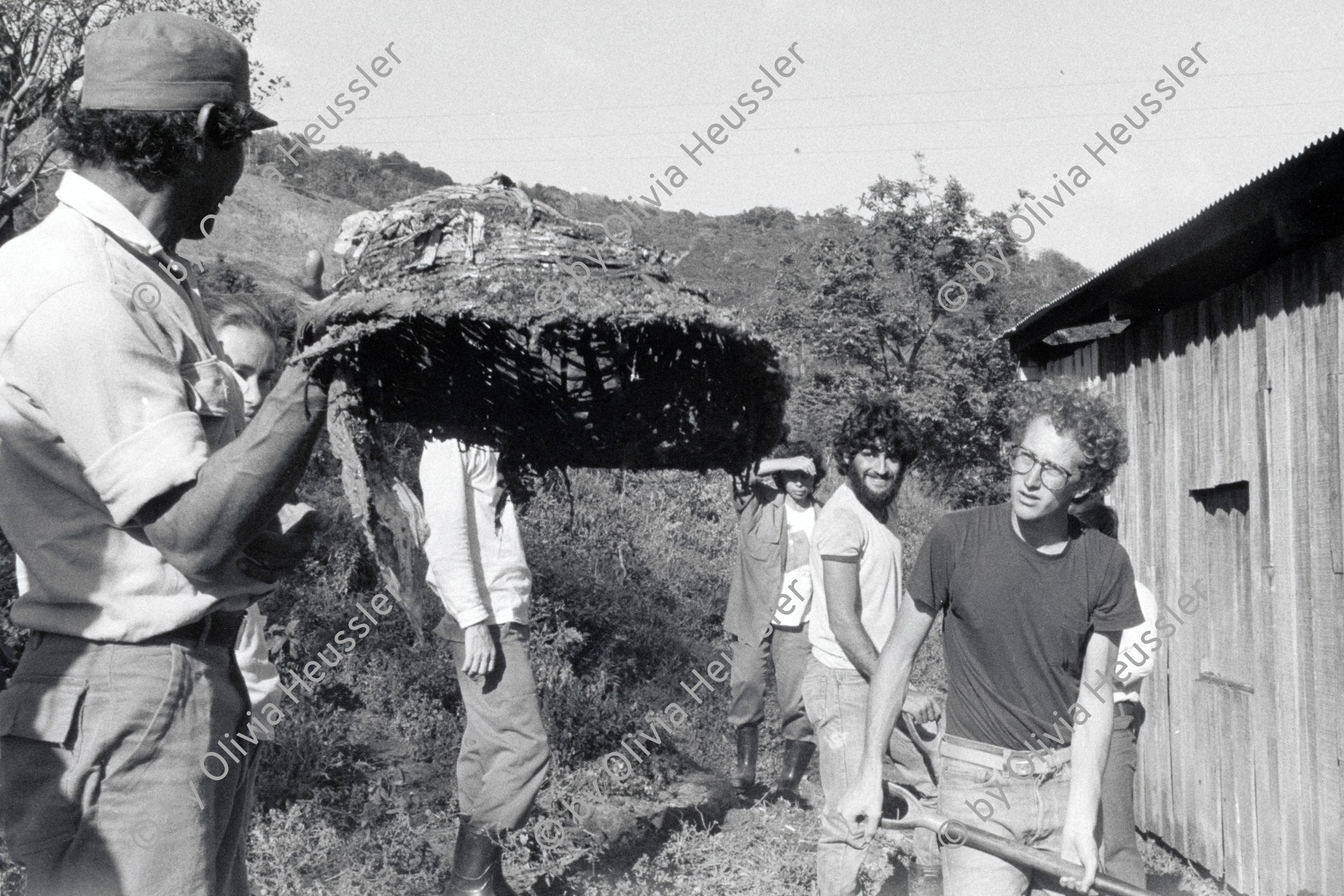 Image of sheet 19850090 photo 11: Unter den InternationalistInnen sind u.a. viele US Amerikaner Nordamerikaner Innen dabei. Sie kommen vom INIES und helfen beim jährlichen Kaffeepflücken mit. Viele sind noch Studentinnen. IRENA. Brigade Kaffee Ernte Nicaragua 1985 √ Coffee solidarity work group young