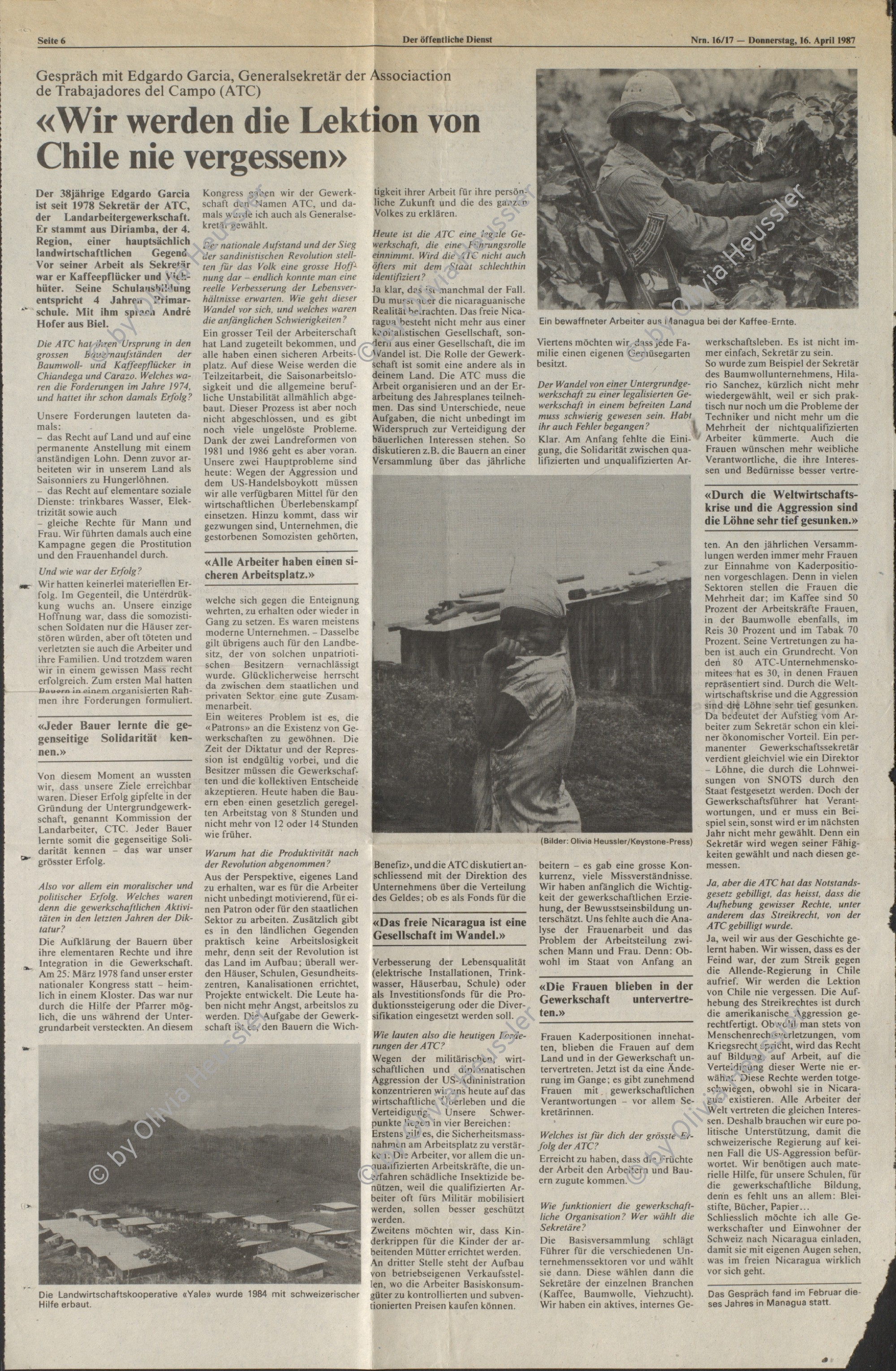 Image of sheet 19850090 photo 23: Militär und Soldaten des EPS Ejército Popular sandinista, helfen beim jährlichen Kaffeepflücken bewaffnet mit einer AK-47 Waffe  Awtomat Kalaschnikowa, obrasza 47 (kyrillisch Автомат Калашникова образца 47), ein sowjetisch-russisches Sturmgewehr. Krieg Soldat pflückt. Pflücker. Kaffee Ernte Nicaragua 1985 √
coffee pick harvest
The AK-47 is a selective-fire, gas-operated 7.62×39mm assault rifle, first developed in the USSR by Mikhail Kalashnikov. It is officially known as Avtomat Kalashnikova (Russian: Автомат Калашникова). It is also known as a Kalashnikov, an AK, or in Russian slang, Kalash.

The Sandinista Popular Army (or People's Army; Ejército Popular Sandinista, EPS) was the military established in 1979 by the new Sandinista government to replace the National Guard, following the overthow of Anastasio Somoza Debayle.