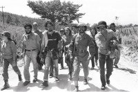 Image of sheet 19850090 photo 33: Unter den InternationalistInnen arbeiten u.a. viele US Amerikaner Nordamerikaner und Nordamerikanerinnen mit den Nicaraguaner Innen zusammmen. 
Sie arbeiten z. T. mit IRENA und oder INIES und helfen beim jährlichen Kaffeepflücken mit und werden von einem bewaffneten sandinistischen Miliz Soldat begleitet. Viele sind noch Studentinnen. 

3 v.l. Lorenzo Cardenal ein Verwandter des ehemaligen Kulturministers, Poeten und Priesters Ernesto Cardenal) Lorenzo war Gründer des ersten Greenpeace büros in Zentralamerika. Leider starb er an einer kleinen Infektion Jahre später, wegen Antibiotikaresistenz.

Brigade Kaffee Ernte Nicaragua 1985 √ Coffee solidarity work group young internationalista solidarische Internationalistinnen