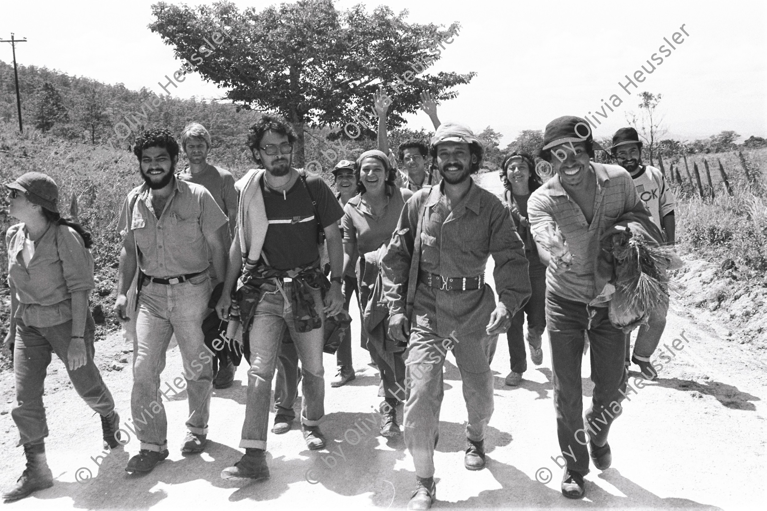 Image of sheet 19850090 photo 33: Unter den InternationalistInnen arbeiten u.a. viele US Amerikaner Nordamerikaner und Nordamerikanerinnen mit den Nicaraguaner Innen zusammmen. 
Sie arbeiten z. T. mit IRENA und oder INIES und helfen beim jährlichen Kaffeepflücken mit und werden von einem bewaffneten sandinistischen Miliz Soldat begleitet. Viele sind noch Studentinnen. 

3 v.l. Lorenzo Cardenal ein Verwandter des ehemaligen Kulturministers, Poeten und Priesters Ernesto Cardenal) Lorenzo war Gründer des ersten Greenpeace büros in Zentralamerika. Leider starb er an einer kleinen Infektion Jahre später, wegen Antibiotikaresistenz.

Brigade Kaffee Ernte Nicaragua 1985 √ Coffee solidarity work group young internationalista solidarische Internationalistinnen