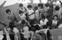Image of sheet 19850090 photo 36: Unter den InternationalistInnen sind u.a. viele US Amerikaner Nordamerikaner Innen dabei. Sie kommen vom INIES und helfen beim jährlichen Kaffeepflücken mit. Viele sind noch Studentinnen. Ein Schneider aus der Hauptstadt bewaffnet mit einer AK-47 und Soldat pflückt. Auf dem Innenhof der Hacienda. IRENA Leute beim Picknick. Lorenzo Cardenal (selig). Ein Kindertheater wurde installiert. Puppentheater für die Pflückerkinder. Brigade Kaffee Ernte Nicaragua 1985
