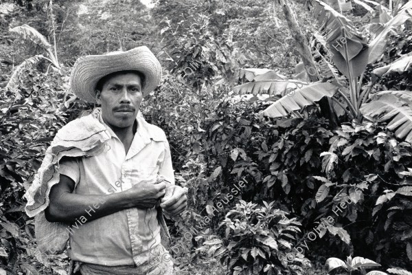 Image of sheet 19850100 photo 32: Dieser nicaraguanische Bauer ist Vorarbeiter in der Kaffeeplantage. Kaffee Arbeiter Arbeit
Matagalpa Nicaragua 02.85 1985 √