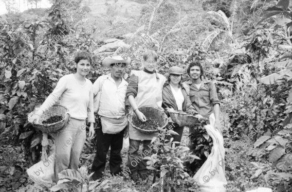 Image of sheet 19850100 photo 33: Kaffee-Pfluecker*Innen mit internationaler Unterstuetzung, Matagalpa Nicaragua 1985. Gruppenbild mit Olivia. coffee picker