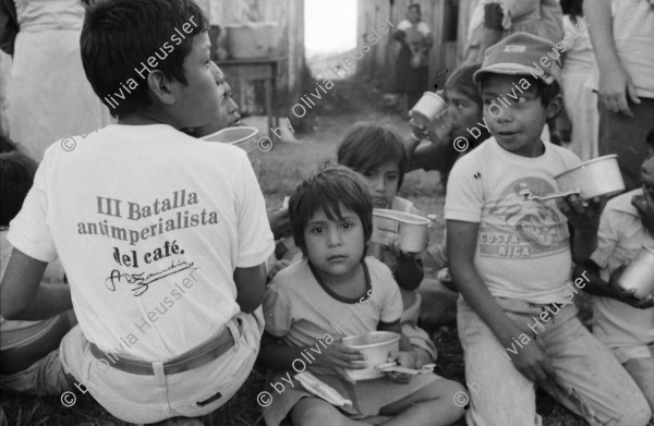 Image of sheet 19850110 photo 14: Für die Kinder der KaffeeplantagenarbeiterInnen, die auch mit helfen der Familie genügend Einkommen zu verschaffen, indem sie hart arbeiten, gibt es ab und zu kleinere Partys, die von den Internacionalistas organisiert werden. Brigaden.
Olivia beim pflücken. «III Batalla antimperialista del café». Kinderspiele Kartoffelrennen. Sackhüpfen. Matagalpa Nicaragua 1985