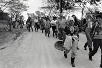 Image of sheet 19850110 photo 31: KaffeeplantagenarbeiterInnen, Internationalistas Brigaden.
Matagalpa Nicaragua 1985 √