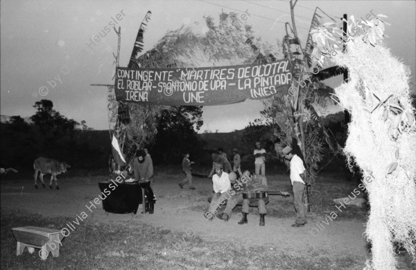 Image of sheet 19850110 photo 36: Die Kinder spielen in den Kaffeeplantagen Matagalpa Nicaragua 02.85 1985 √