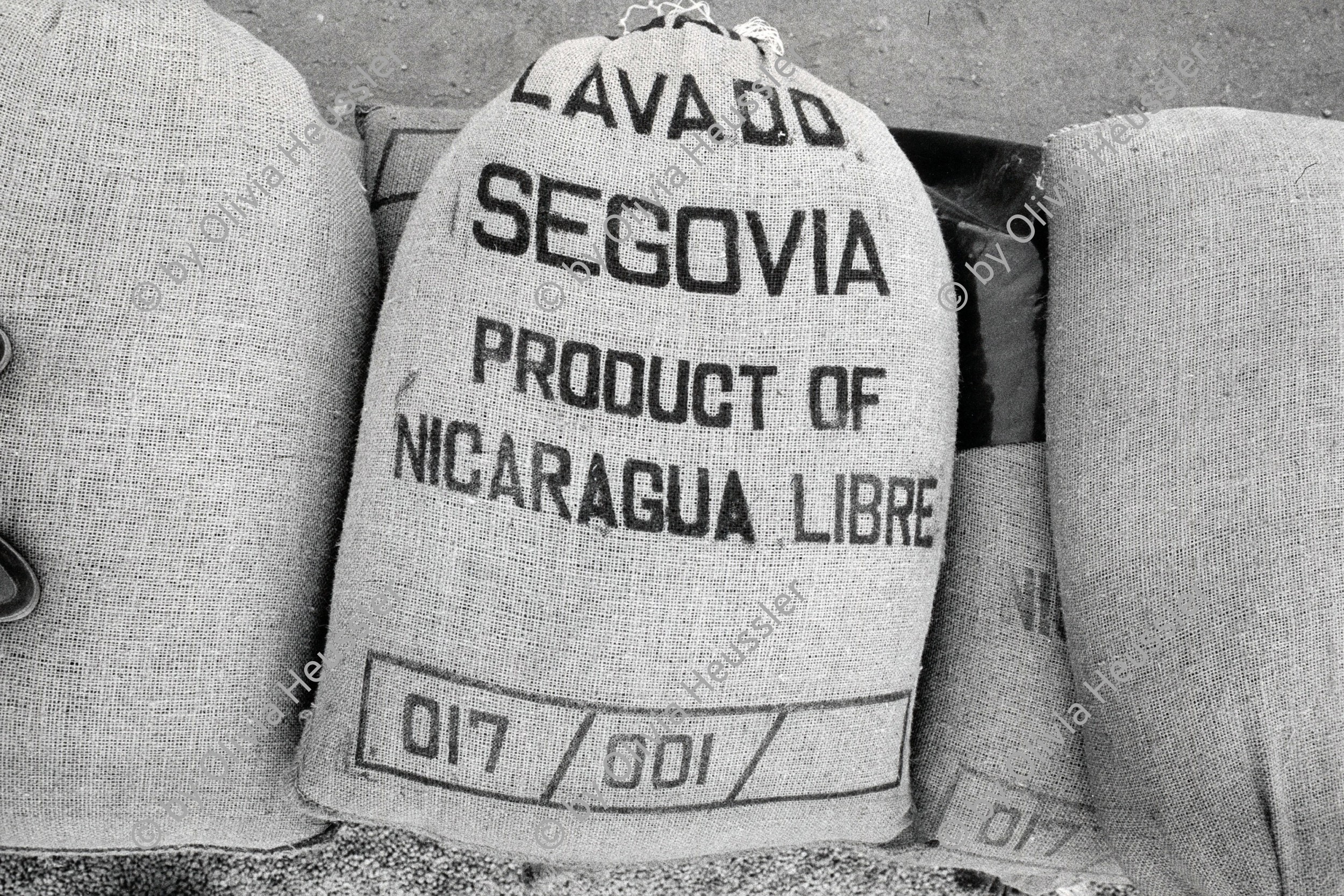 Image of sheet 19850120 photo 42: Lavado Segovia Product of Nicaragua libre
Getrocknete Kaffeebohnen in Säcken für die Weiterverarbeitung und den Export. Matagalpa Nicaragua 03.85 1985 √