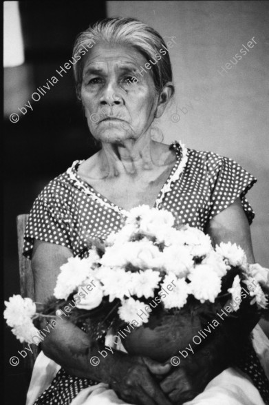 Image of sheet 19850130 photo 18: Kommandant Der sandinistische Sandinista Sandinismus Revolutions Comandante de la Revolucion Tomas Borge spricht für die Frauen der AMNLAE in Leon. Frauen schreien pol. Parolen. Propaganda für SMP. Hauswand aus ausgedienten alten Auto Nummernschilder Autoschilder Schilder. Willi Germund auf Baum sitzend in Xiloa. 2 kleine Kinder in Hängematte. Cornell (gest. in El Salvador, Holländer Kameramann für Jan Schmeitz) Gabriela Gabrielle Gabriel Baur und Peter Paul Zahl. (Schriftsteller; die Glücklichen, BRD Deutschland) liest aus dem anarchistischen Diabolik, Zürcher Untergrundmagazin aus Anarchokreisen. Beerdigung in Managua. Mutter von Luisa Amanda Espinoza mit Blumen. Nicaragua
1985