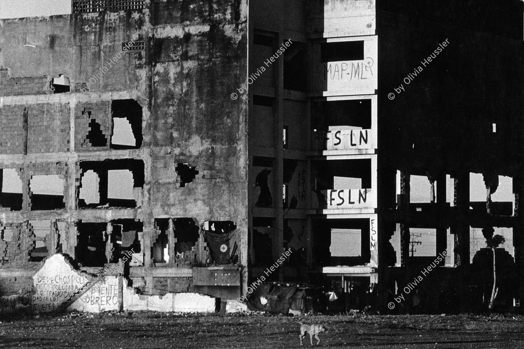 Image of sheet 19850140 photo 22: im vom Erdbeben zerstörten alten Managua. Noch sind die alten vor dem Erdbeben gebauten Häuser im Zentrum bewohnt. Ruinen. Nicaragua 1985 √ central america architektur architecture building earthquake Managua ruins destroyed central amerika FSLN Graffiti
© 1985, by OLIVIA HEUSSLER / www.clic.li